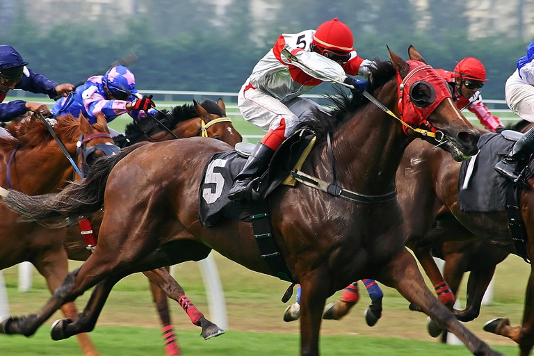 Horses Running in Race