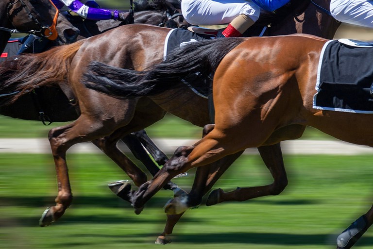 Horses Racing Against Blurred Turf Track