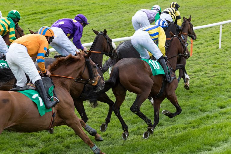 Field of National Hunt Horses in Race
