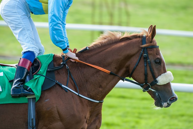 Jockey with Light Blue Silks on Bay Horse