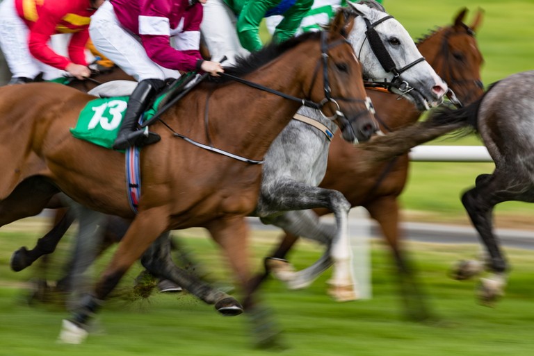 Motion Blurred National Hunt Horses
