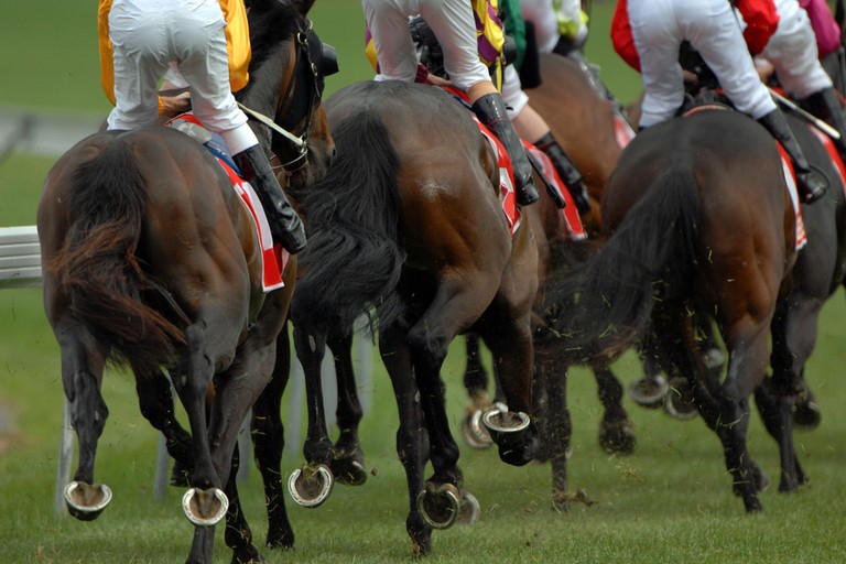 Horse Race from Behind Field