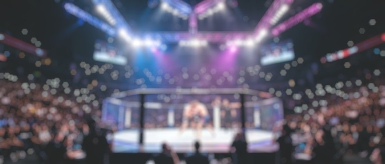 Blurred MMA Fight in Arena
